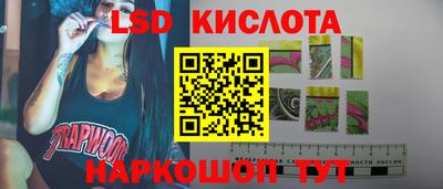 ГАЛЛЮЦИНОГЕННЫЕ ГРИБЫ Берёзовский