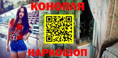 ГАЛЛЮЦИНОГЕННЫЕ ГРИБЫ Берёзовский