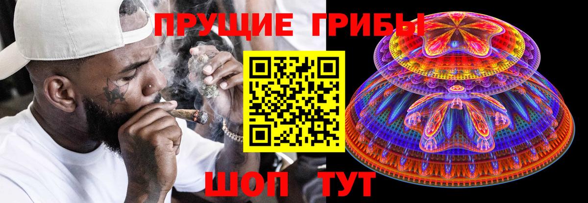 Галлюциногенные грибы Cubensis Кольчугино