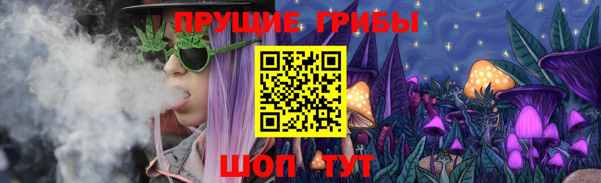 Кольчугино  Псилоцибиновые грибы GOLDEN TEACHER  Вход с VPN 